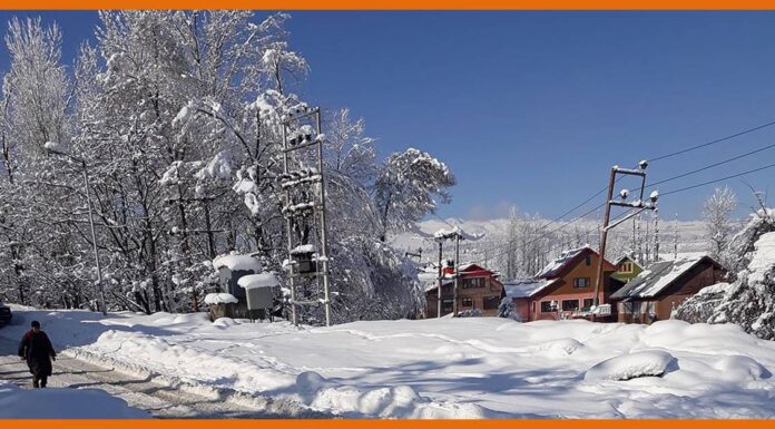 HP: Panchayat Samiti, Zila Parishad election results today