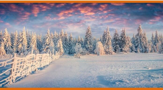 As the cold snap grips the north, here’s the list of the country’s coldest cities