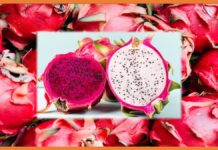 गुजरात सरकार ने बदला ड्रैगन फ्रूट का नाम Dragon Fruit