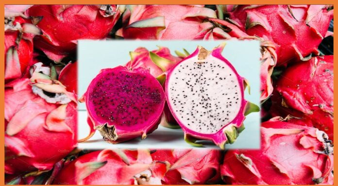 गुजरात सरकार ने बदला ड्रैगन फ्रूट का नाम Dragon Fruit