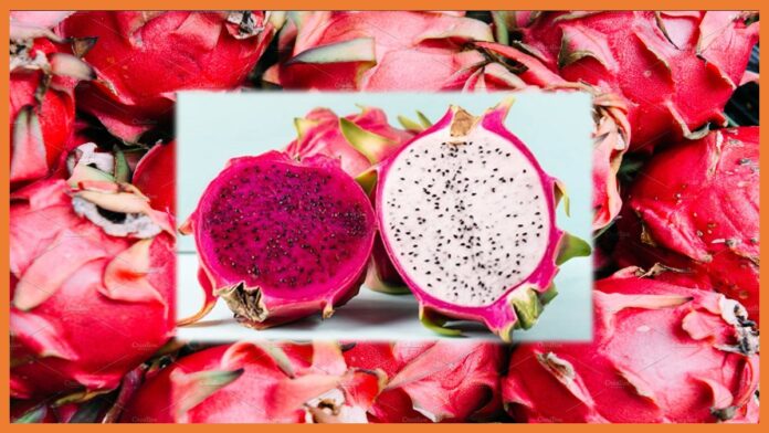 Dragon Fruit