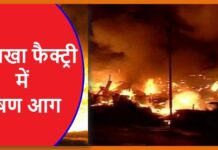 Big Breaking: तमिलनाडु के इस पटाखा फैक्ट्री में लगी भयानक आग Crackers