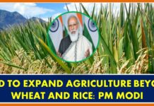 NEED TO EXPAND AGRICULTURE BEYOND WHEAT AND RICE: PM MODI Fasal