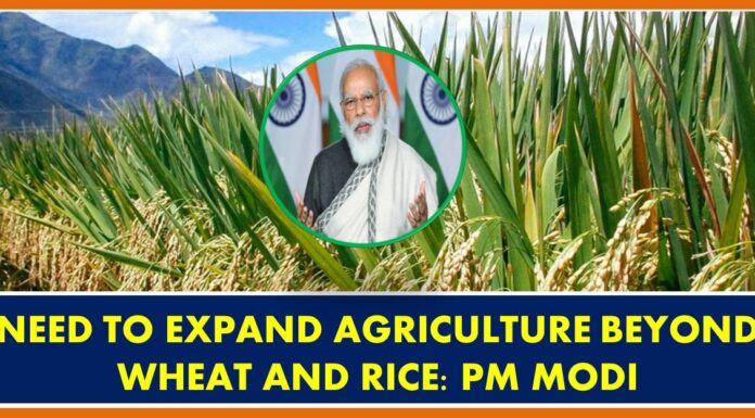 NEED TO EXPAND AGRICULTURE BEYOND WHEAT AND RICE: PM MODI Fasal
