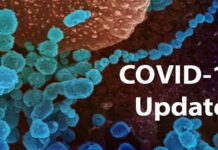 Active cases rise again, 24 hours report… covid 19
