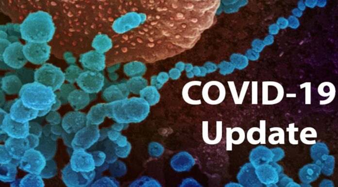 Active cases rise again, 24 hours report… covid 19