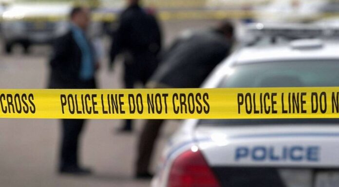 अमेरिका में एक शख्स ने अंतरराष्ट्रीय एयरपोर्ट के पास बरसाईं गोलियां, इतने लोगों की हुई मौत America Scene