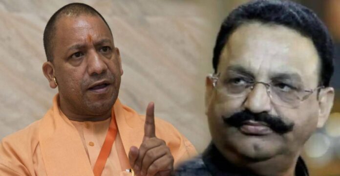 Ansari_Yogi Ansari_Yogi