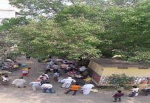 पटना में पीपल के इस पेड़ से फैला रहा है कोरोना ? जानें पूरी कहानी Pipal