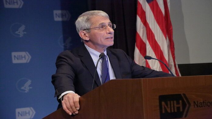 american doctor anthony fauci
