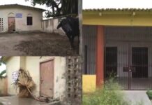 कहीं भैंसें बंधीं तो कहीं सुनसान पड़े हैं स्वास्थ्य केंद्र, तस्वीरों में देखें कोरोना से कैसे लड़ रहा है बिहार bihar_health_care_center