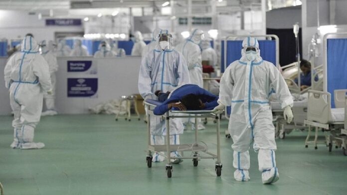 black fungus black fungus