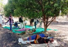 खेत में पेड़ पर लटकाकर चढ़ाई जा रही सलाइन बॉटल, लोगों की जान से खेल रहे हैं झोलाछाप डॉक्टर jola chhap doctor