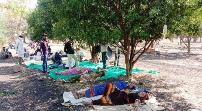 खेत में पेड़ पर लटकाकर चढ़ाई जा रही सलाइन बॉटल, लोगों की जान से खेल रहे हैं झोलाछाप डॉक्टर jola chhap doctor