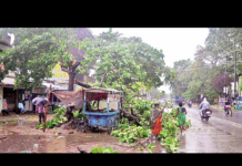 बारिश ने बिहार में सारे रिकॉर्ड तोड़े , 7 लोगों की मौत। patna rain