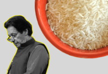बासमती चावल पर भारत पाकिस्तान आमने सामने पाकिस्तान का बयान “ये हम पर परमाणु बम गिराने जैसा “ basmati rice