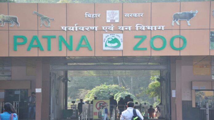 zoo