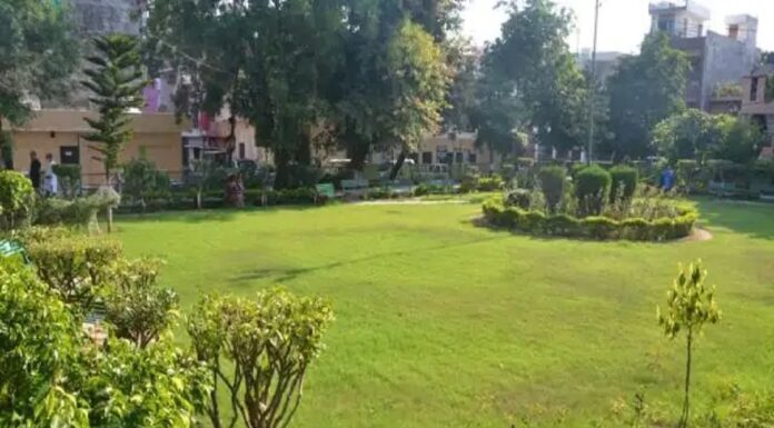 राजधानी पटना को मिला एक और सौगाद, राजेंद्र नगर स्थित नगर निगम ने बनवाया मैकडोवेल पार्क। macdonelds park