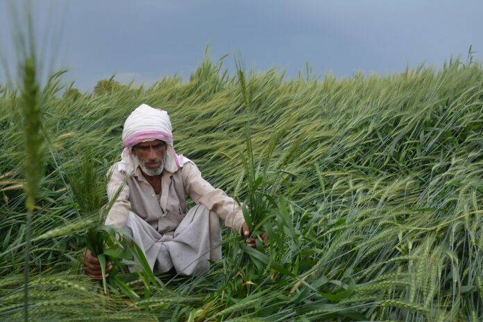 Bihar_Crop_Policy