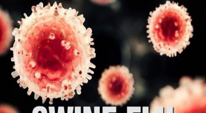बिहार में कोरोना के घटते मामलों के बीच स्वाइन फ्लू ने दी दस्तक ! Swine_Flu