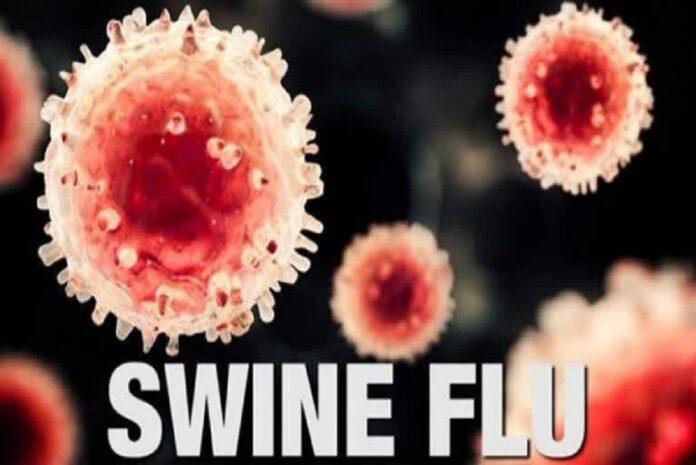 Swine_Flu
