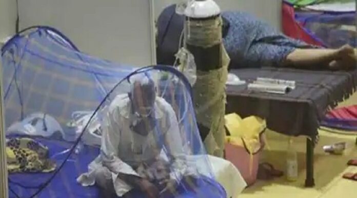 बिहार में बढ़ रहा डेंगू का कहर, पटना में 3 दिन में 16 मरीज़ ! dengue attack in bihar