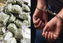 बिहार के लखीसराय से 11 क्वीन्टल गांजा बरामद, पुरे प्रदेश में तस्कर करते थे सप्लाई ! ganja taskar in bihar