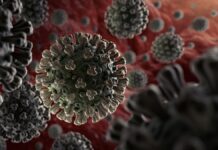 Omicron Coronavirus : भारत में ओमीक्रोन की दस्तक, मिले दो संक्रमित no corona cases in patna