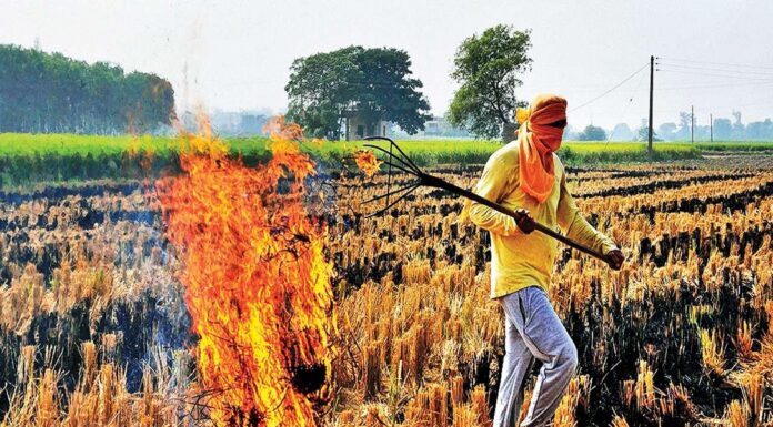 पराली प्रबंधन के रोहतास मॉडल को पुरे राज्य में लागु करेगी बिहार सरकार ! stubble managment