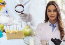 TNMRB FSO Recruitment 2021: तमिलनाडु चिकित्सा सेवा भर्ती बोर्ड (TN MRB) में फूड सेफ्टी ऑफिसर (Food Safety Officer) के कई पदों पर भर्ती job