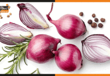 Benefits Of Onion: पुरुष के होर्मोनेस को बढ़ाने में बेहद फायदेमंद होता है प्याज़ onion