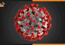 Bihar Corona Update: इन जिलों में बेलगाम हो रहा कोरोना, यहां मिले सबसे ज्यादा संक्रमित covid