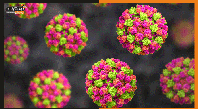 Norovirus: कोरोना के तांडव के बाद अब नोरो दिखा रहा है अपना जलवा norovirus