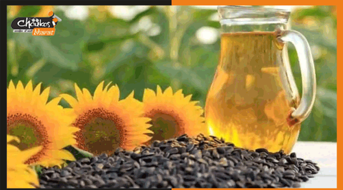 खाद्य तेलों की कीमतों में आई गिरावट oil