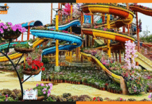 इस वाटर पार्क में पग-पग पर खिलें हैं फूल water park