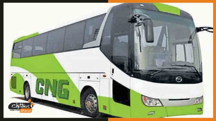cng-bus