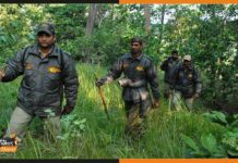 UKPSC फॉरेस्ट रेंजर अधिकारी प्रारंभिक परीक्षा Answer Key जारी, ऐसे करें चेक forest-ranger
