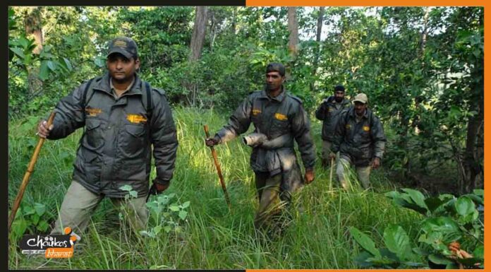 CSBC: बिहार फॉरेस्टर, फॉरेस्ट गार्ड पीईटी परीक्षा स्थगित, नोटिस जारी forest-ranger
