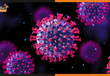 भारत में पाया गया नया कोविड ओमिक्रोन सब-वैरिएंट omicron