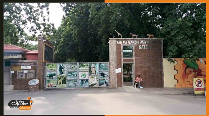 न्यू ईयर सेलिब्रेशन को लेकर पटना ZOO में तैयारी शुरू, कराएं एडवांस बुकिंग patna-zoo