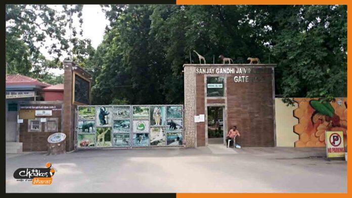 patna-zoo patna-zoo