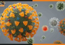 एक और कोरोना वायरस ने दी दस्तक, वैज्ञानिकों ने दी चेतावनी NeoCoV