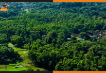 भारत के वन क्षेत्र में हुई वृद्धि, फॉरेस्ट सर्वे का रिजल्ट हुआ जारी forest