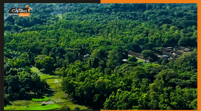 भारत के वन क्षेत्र में हुई वृद्धि, फॉरेस्ट सर्वे का रिजल्ट हुआ जारी forest