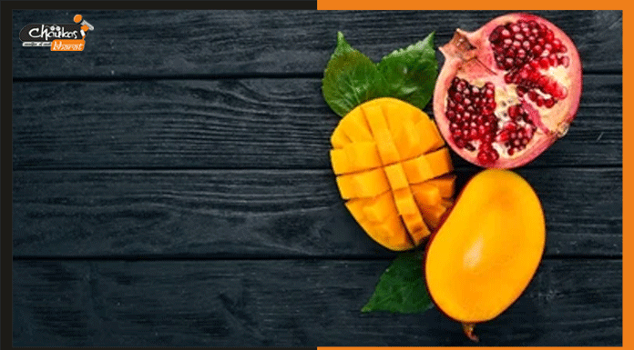 अब फिर से भारत के आम और अनार का स्वाद चखेगा अमेरिका mango