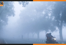 Bihar Weather Update: बिहार में भीषण शीतलहर के आसार, इस दिन हो सकती है बारिश thanda