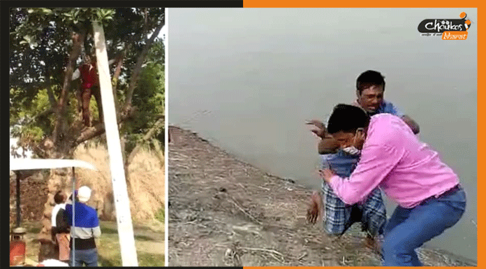 कोविड वैक्सीनेशन के डर से पेड़ पर चढ़ा युवक, जानें पूरा मामला viral video
