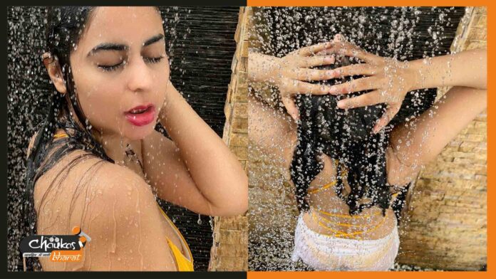 damini-chopda damini-chopda