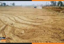 बिहार के 19 अमीन पर गिरी गाज, वसूला जाएगा जनवरी का वेतन land