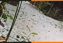 बिहार के मोतिहारी में कश्मीर का हो रहा है एहसास , बर्फ से पटी खेत और सड़कें, देखें विडियो motihari-snowfall